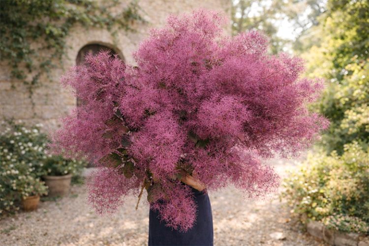 ホームページを公開しました