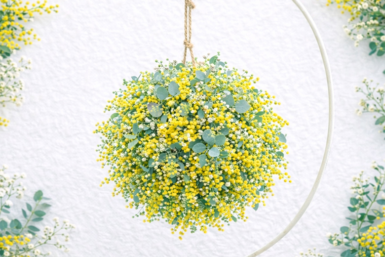 春の香りが揺れるミモザボール