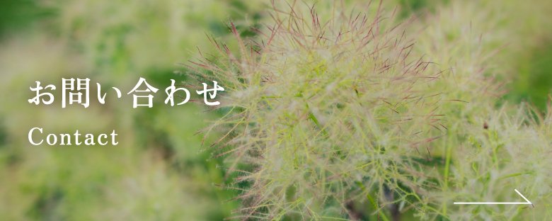 講師依頼こちらから：お問い合わせ