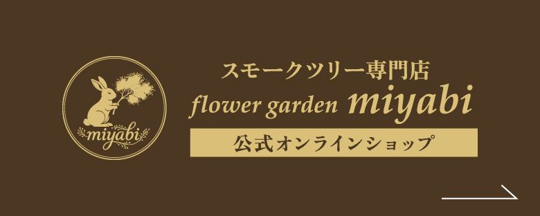 スモークツリー専門店 フラワーガーデンみやび 公式オンラインショップ