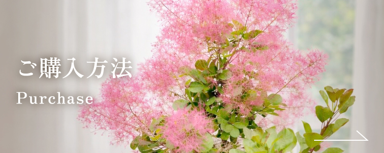 ご購入方法