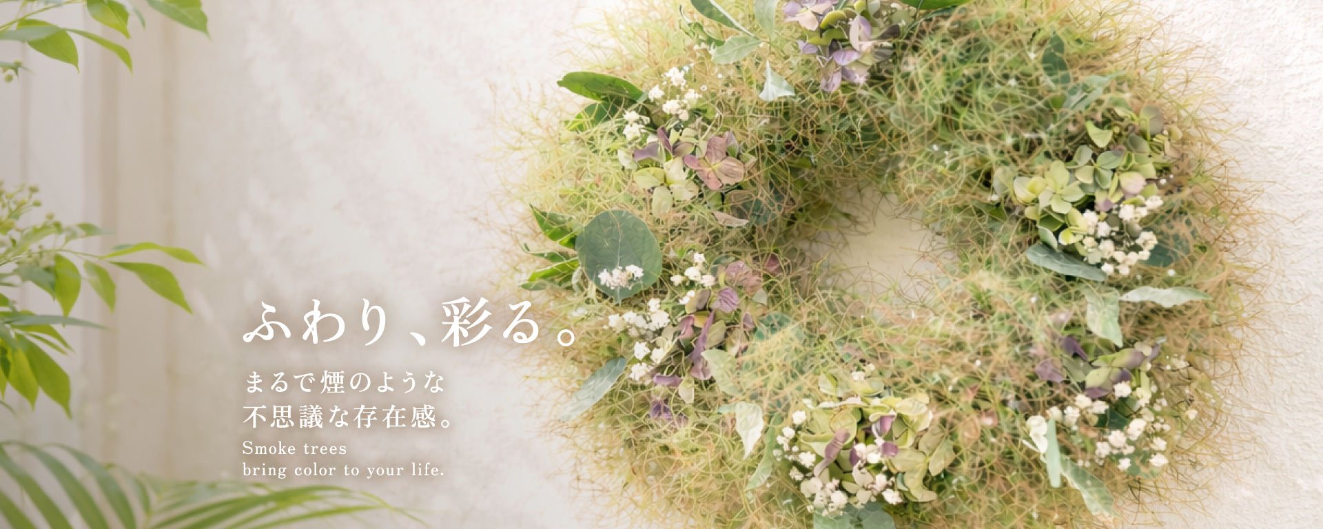 スモークツリーのリース