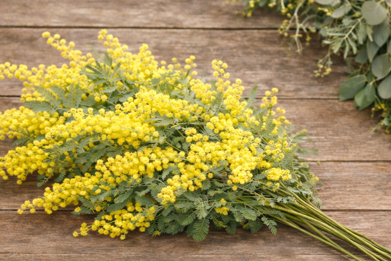 アレンジメント用「花材」販売